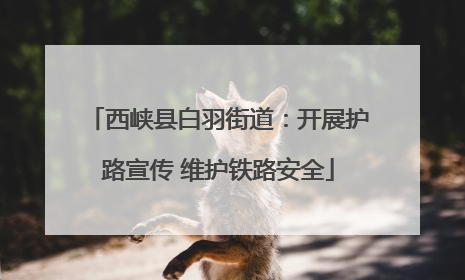 西峡县白羽街道：开展护路宣传 维护铁路安全