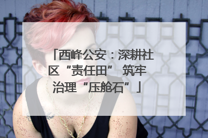 西峰公安：深耕社区“责任田” 筑牢治理“压舱石”