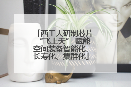西工大研制芯片“飞上天” 赋能空间装备智能化、长寿化、集群化