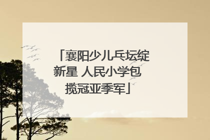 襄阳少儿乓坛绽新星 人民小学包揽冠亚季军
