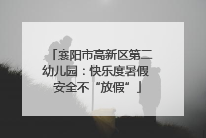襄阳市高新区第二幼儿园：快乐度暑假 安全不“放假”