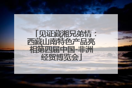 见证藏湘兄弟情：西藏山南特色产品亮相第四届中国-非洲经贸博览会