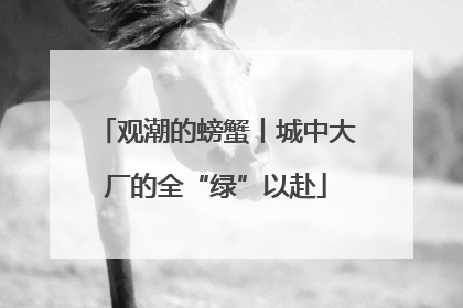 观潮的螃蟹丨城中大厂的全“绿”以赴