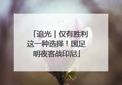 追光｜仅有胜利这一种选择！国足明夜客战印尼
