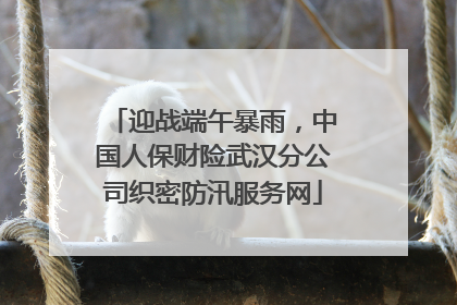 迎战端午暴雨，中国人保财险武汉分公司织密防汛服务网