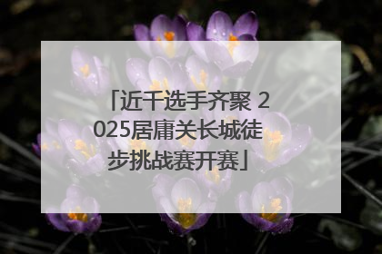 近千选手齐聚 2025居庸关长城徒步挑战赛开赛