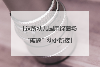 这所幼儿园用绿茵场“破题”幼小衔接