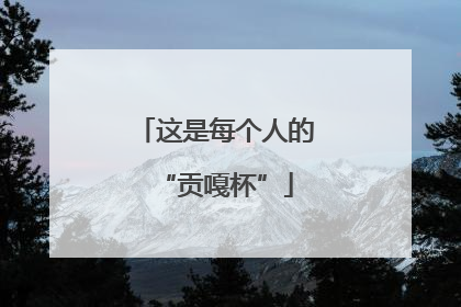 这是每个人的“贡嘎杯”