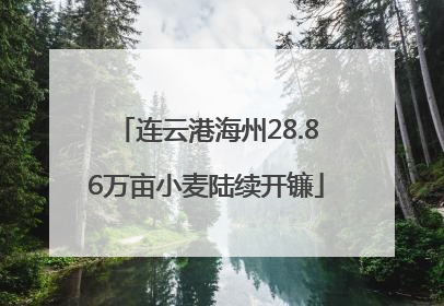 连云港海州28.86万亩小麦陆续开镰
