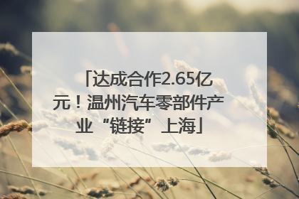 达成合作2.65亿元！温州汽车零部件产业“链接”上海
