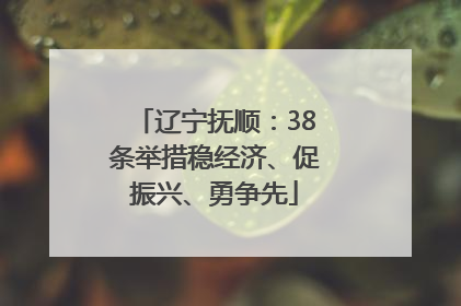 辽宁抚顺：38条举措稳经济、促振兴、勇争先