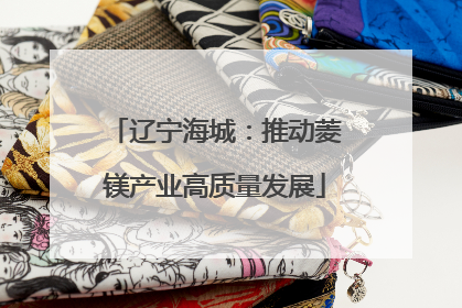 辽宁海城：推动菱镁产业高质量发展