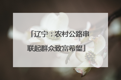 辽宁：农村公路串联起群众致富希望