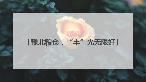 豫北粮仓，“丰”光无限好