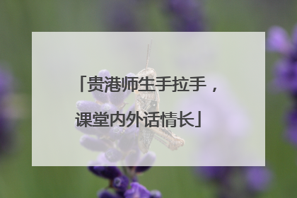 贵港师生手拉手，课堂内外话情长