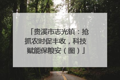 贵溪市志光镇：抢抓农时促丰收，科技赋能保粮安（图）