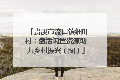 贵溪市流口镇细叶村：盘活闲置资源助力乡村振兴（图）