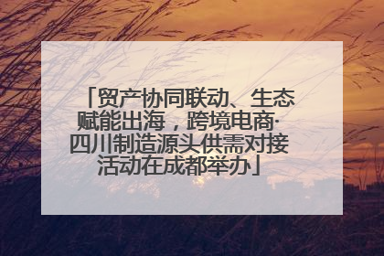 贸产协同联动、生态赋能出海，跨境电商·四川制造源头供需对接活动在成都举办