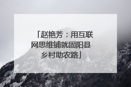 赵艳芳：用互联网思维铺就固阳县乡村助农路
