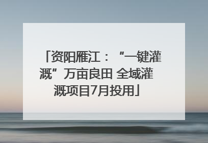 资阳雁江：“一键灌溉”万亩良田 全域灌溉项目7月投用