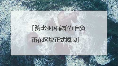 赞比亚国家馆在自贸雨花区块正式揭牌
