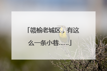 赣榆老城区，有这么一条小巷……