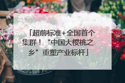 超前标准+全国首个集群！“中国大樱桃之乡”重塑产业标杆