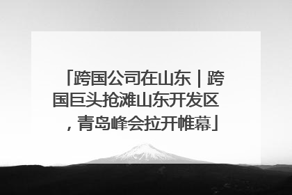 跨国公司在山东｜跨国巨头抢滩山东开发区，青岛峰会拉开帷幕