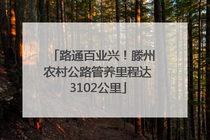 路通百业兴！滕州农村公路管养里程达3102公里