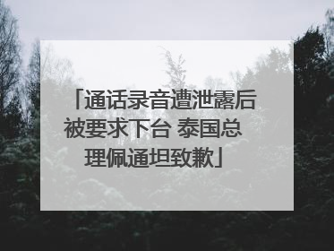 通话录音遭泄露后被要求下台 泰国总理佩通坦致歉