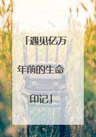 遇见亿万年前的生命印记