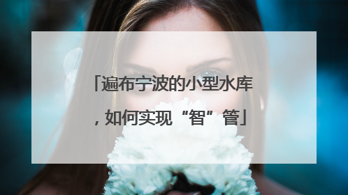 遍布宁波的小型水库，如何实现“智”管