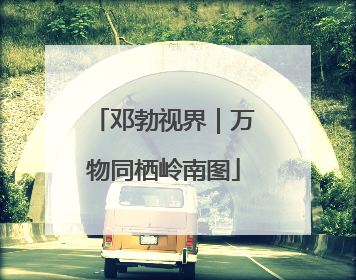 邓勃视界｜万物同栖岭南图