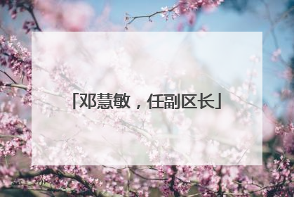 邓慧敏，任副区长