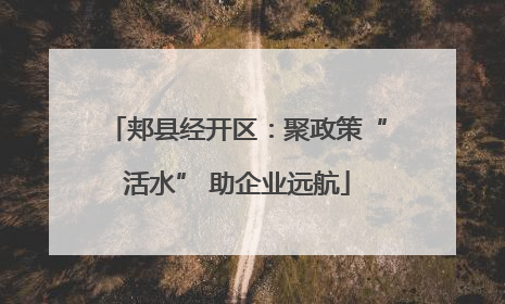 郏县经开区：聚政策“活水” 助企业远航