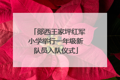 郧西王家坪红军小学举行一年级新队员入队仪式