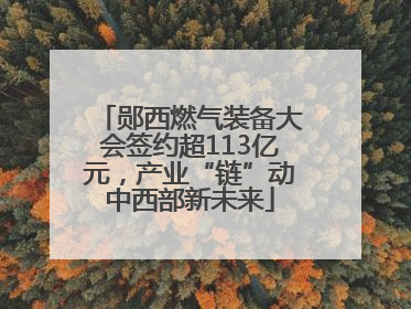 郧西燃气装备大会签约超113亿元，产业“链”动中西部新未来
