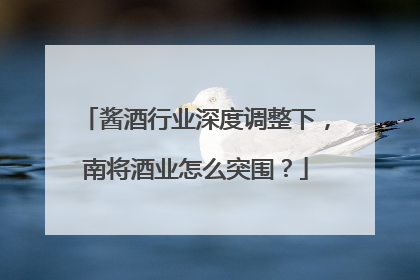 酱酒行业深度调整下，南将酒业怎么突围？
