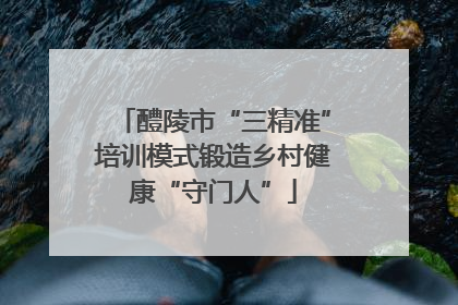 醴陵市“三精准”培训模式锻造乡村健康“守门人”
