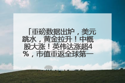 重磅数据出炉，美元跳水，黄金拉升！中概股大涨！英伟达涨超4%，市值重返全球第一！黄仁勋计划出售至多600万股股票