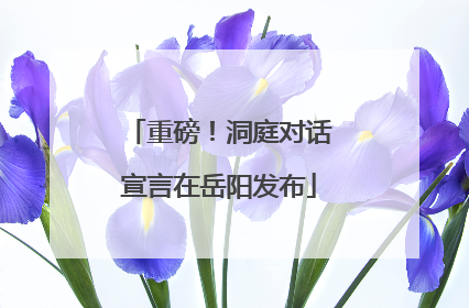 重磅！洞庭对话宣言在岳阳发布