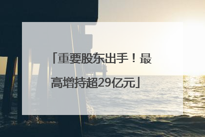 重要股东出手！最高增持超29亿元