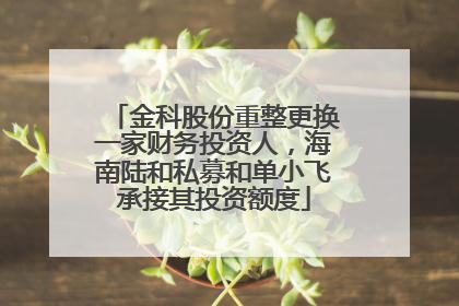 金科股份重整更换一家财务投资人，海南陆和私募和单小飞承接其投资额度