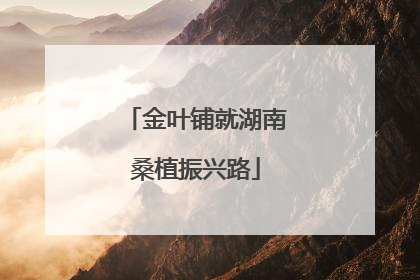 金叶铺就湖南桑植振兴路