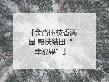 金杏压枝香满园 帮扶结出“幸福果”
