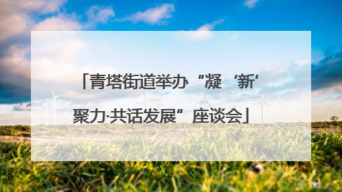青塔街道举办“凝‘新’聚力·共话发展”座谈会