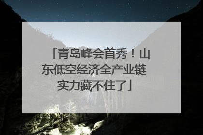青岛峰会首秀！山东低空经济全产业链实力藏不住了