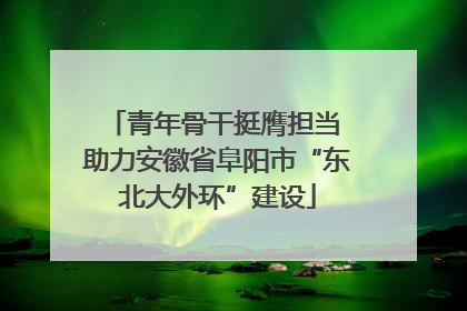 青年骨干挺膺担当 助力安徽省阜阳市“东北大外环”建设
