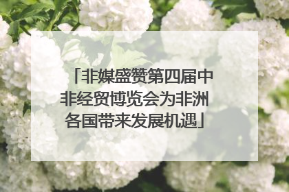 非媒盛赞第四届中非经贸博览会为非洲各国带来发展机遇