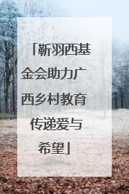 靳羽西基金会助力广西乡村教育 传递爱与希望